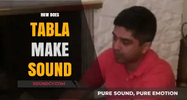 Understanding Tabla: The Science and Art Behind Its Unique Sound Production