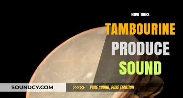 Tambourine Sound Secrets: How Jingles and Head Create Vibrant Rhythms