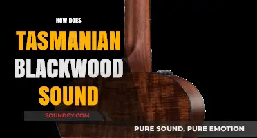 Exploring the Rich, Warm Tones of Tasmanian Blackwood in Luthiery