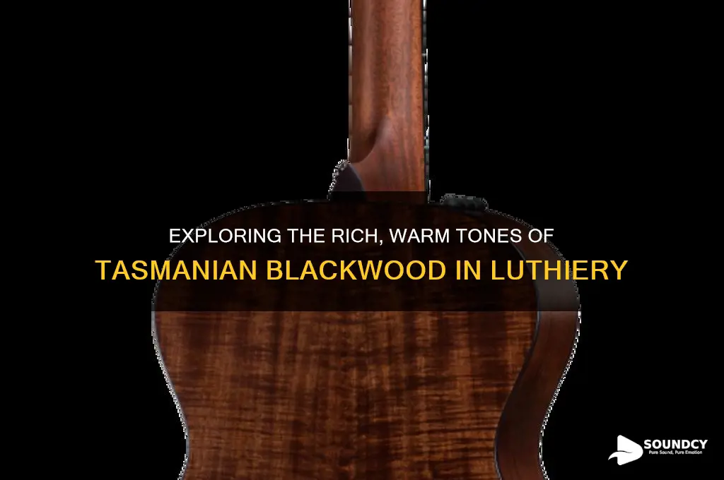 how does tasmanian blackwood sound