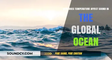 Ocean Sound Waves: Temperature's Impact on Global Underwater Acoustics