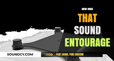 How Does That Sound Entourage: Decoding the Impact and Influence