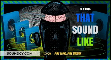 How Does That Sound? Exploring the Art of Auditory Perception
