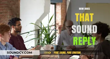 Mastering the Art of 'How Does That Sound?' Replies in Conversations