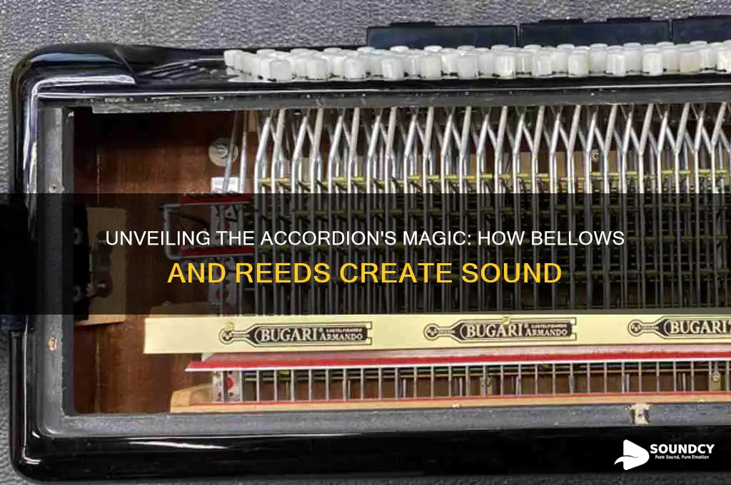 how does the accordion produce sound