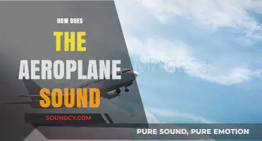Exploring the Unique Sounds of an Aeroplane in Flight