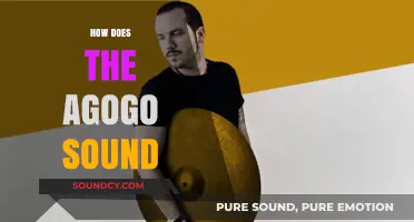 Exploring the Unique Resonance and Cultural Significance of the Agogo Sound