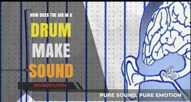 How Air Vibrations Inside a Drum Create Its Unique Sound