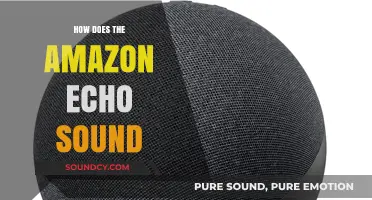 Amazon Echo Sound Quality: A Comprehensive Review of Audio Performance