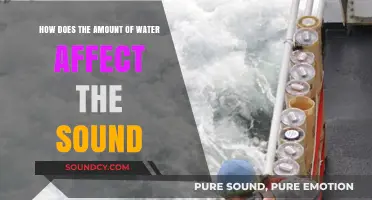 Water's Role in Shaping Sound: Exploring Volume and Acoustic Effects