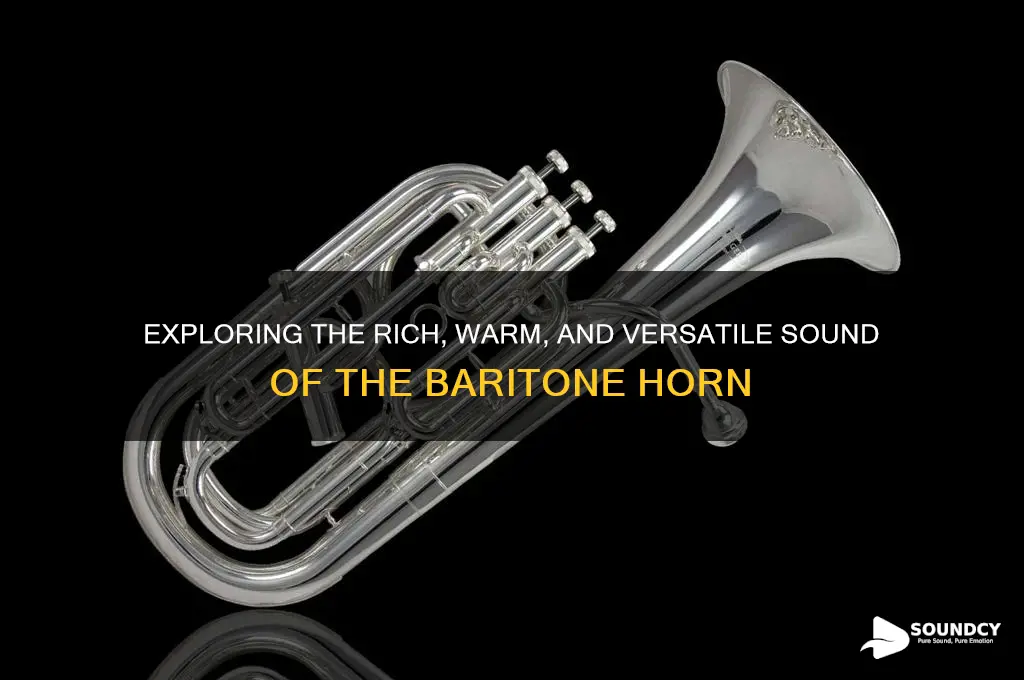how does the baritone horn sound