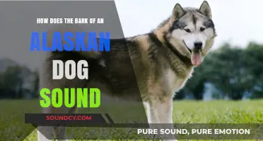 Unveiling the Unique Bark of Alaskan Dogs: Sounds and Characteristics