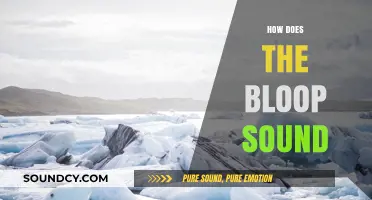 Unraveling the Mystery: What Causes the Eerie Bloop Sound?