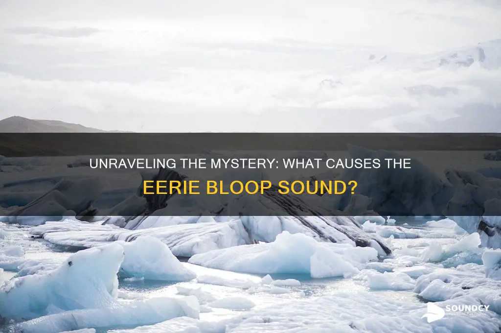 how does the bloop sound