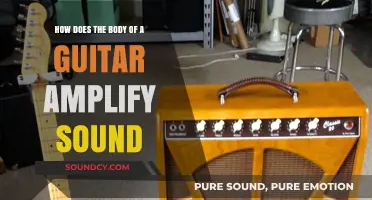 How Guitar Bodies Enhance and Amplify Sound Waves Explained