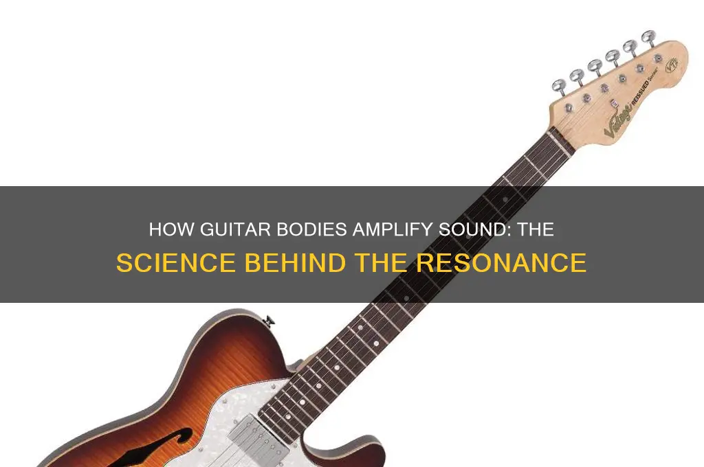 how does the body of a guitar mplify sound