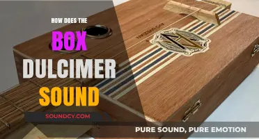 Exploring the Unique, Haunting Sound of the Box Dulcimer
