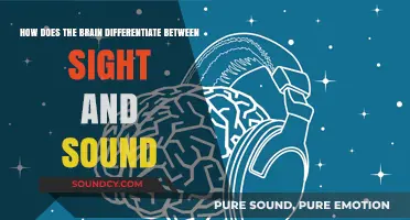 Unraveling the Brain's Ability to Distinguish Sight from Sound