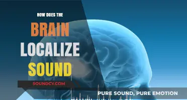 Unraveling the Brain's Ability to Localize Sound: Mechanisms and Insights