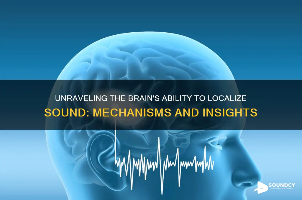 how does the brain localize sound