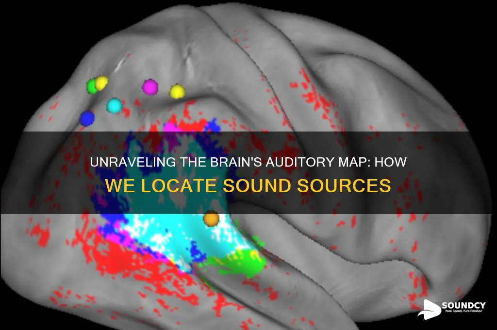 how does the brain locate sound