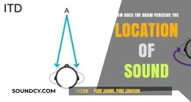 Unraveling the Brain's Ability to Locate Sound Sources Accurately