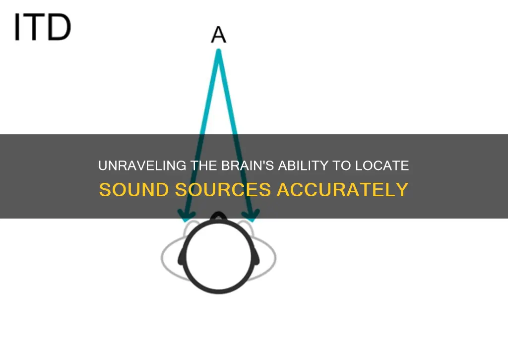 how does the brain perceive the location of sound