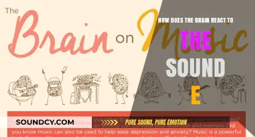 The Brain's Fascinating Response to the Sound of 'E' Explained