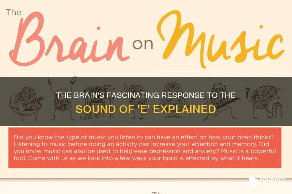 how does the brain react to the sound e