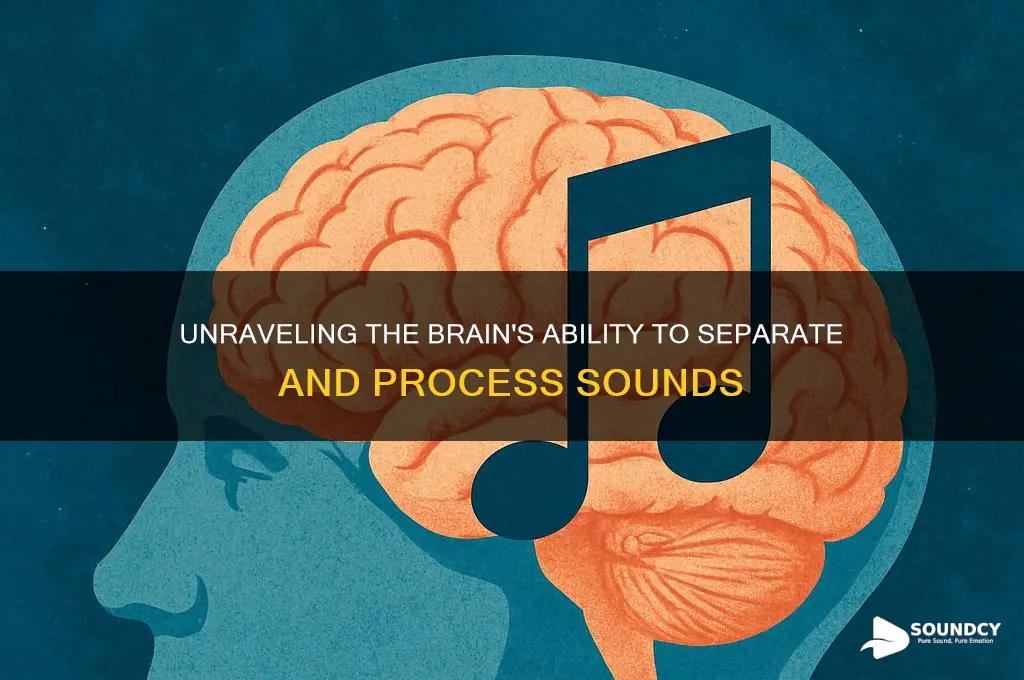how does the brain separate sound