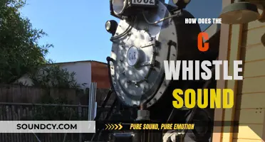 Understanding the Unique Tone and Technique of the C Whistle Sound