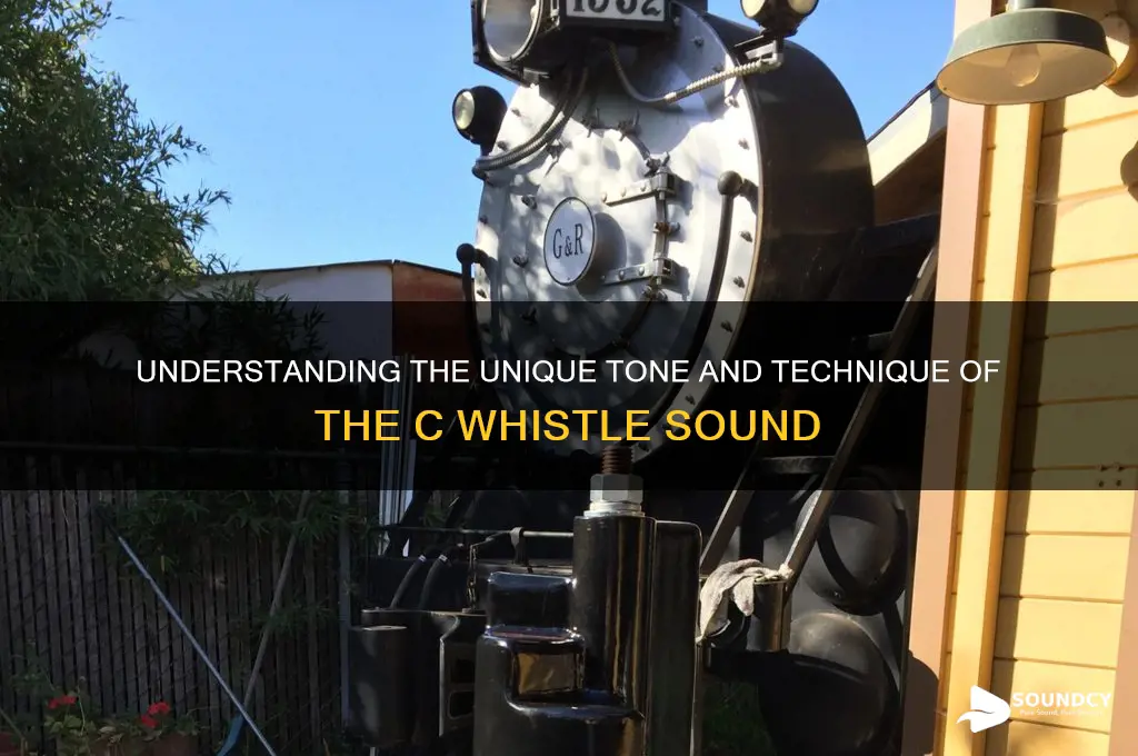 how does the c whistle sound