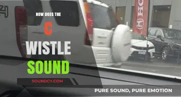 Unveiling the Unique Tone: How Does the C Whistle Sound?