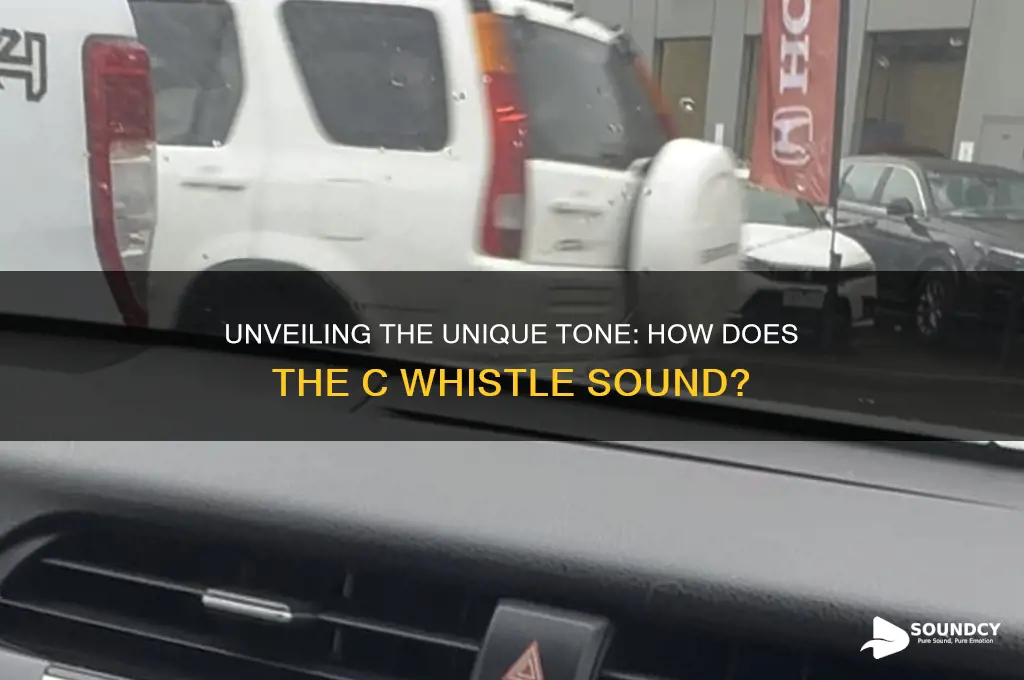 how does the c wistle sound