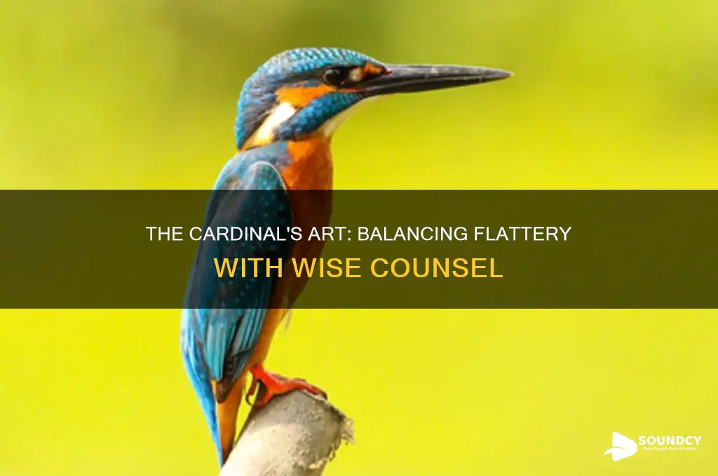 how does the cardinal mix flattery with sound advice