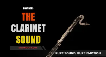 Exploring the Rich, Versatile Tone of the Clarinet: How It Sounds