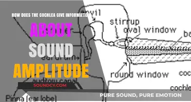 How the Cochlea Translates Sound Amplitude into Neural Signals