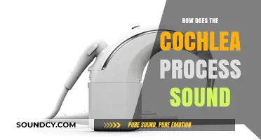 Unraveling the Cochlea's Role in Transforming Sound Waves into Hearing