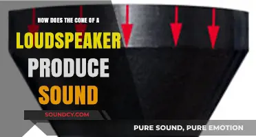 How Loudspeaker Cones Vibrate to Create Sound Waves Explained
