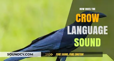 Exploring the Unique Sounds and Structure of the Crow Language