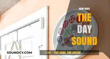 How Does the Day Sound: Exploring Daily Auditory Experiences and Rhythms