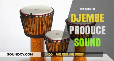 Understanding the Djembe: How Its Unique Design Creates Rich, Resonant Sound
