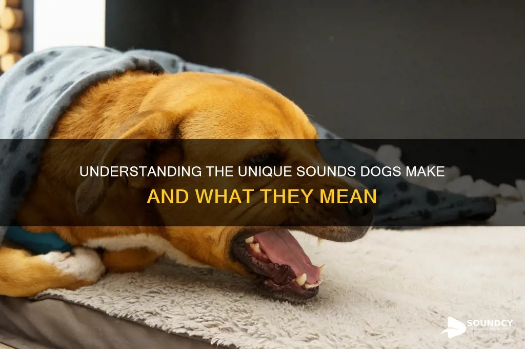 how does the dog sound