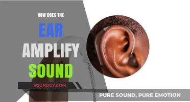 How the Ear Amplifies Sound: Unveiling the Cochlea's Acoustic Secrets