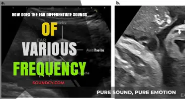 Unraveling the Ear's Ability to Distinguish Sounds by Frequency