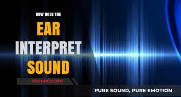 How the Ear Decodes Sound: A Journey Through Auditory Interpretation