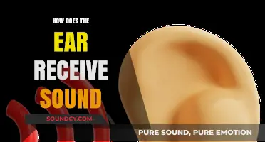 How the Ear Captures Sound: A Journey Through Hearing Mechanisms