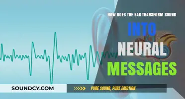 Unraveling the Ear's Magic: How Sound Becomes Neural Messages