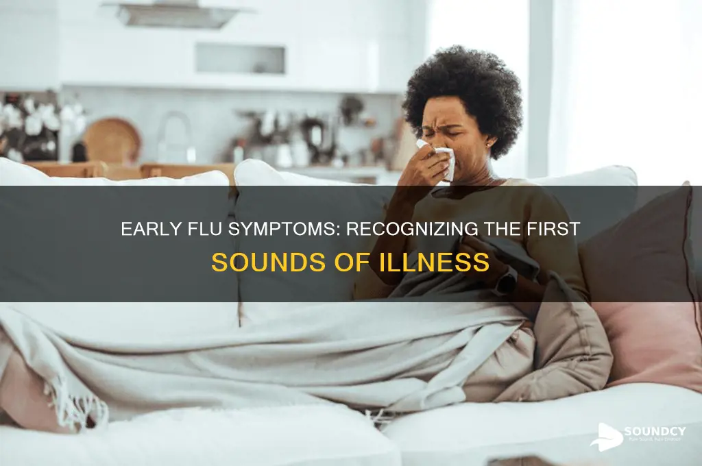 how does the flu sound when it first starts