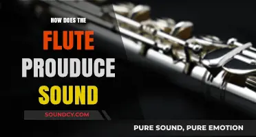 Unveiling the Magic: How Flutes Create Their Enchanting Sounds